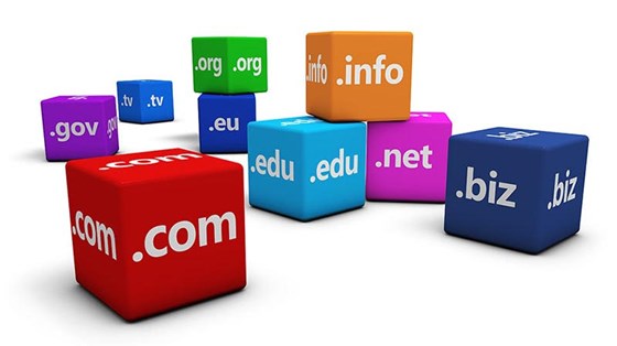 Best Reseller Hosting UK: Arnold Lambert